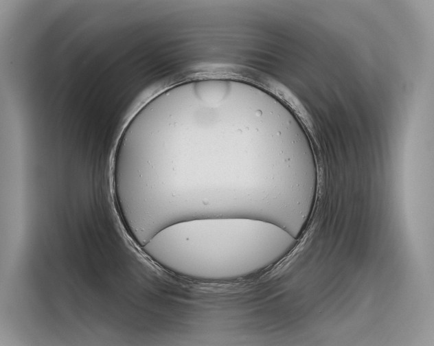 X0000116341386200912011009