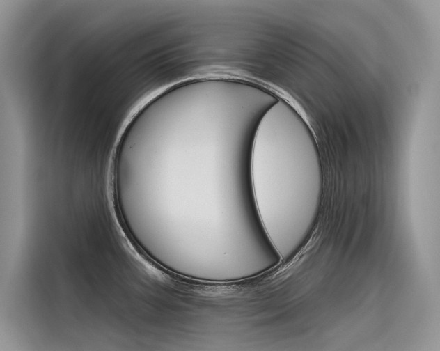 X0000116341387200912011009
