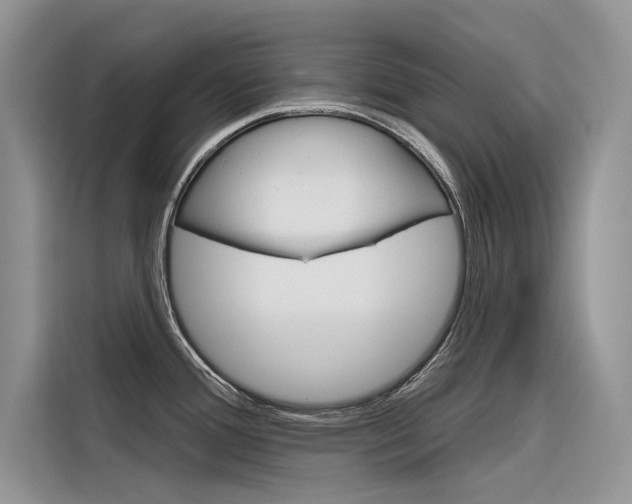 X0000116341388200912011009
