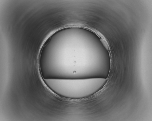 X0000116341389200912011009