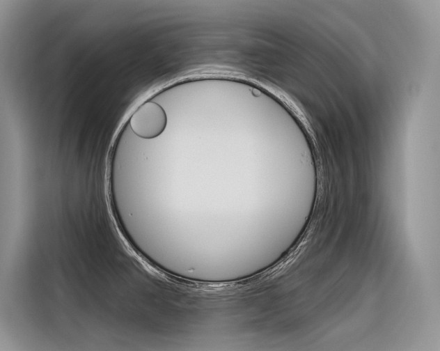 X0000116341390200912011009