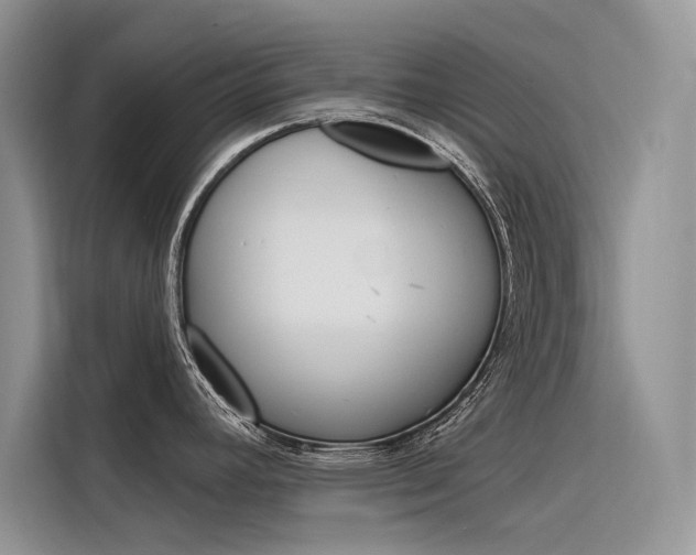 X0000116341392200912011009
