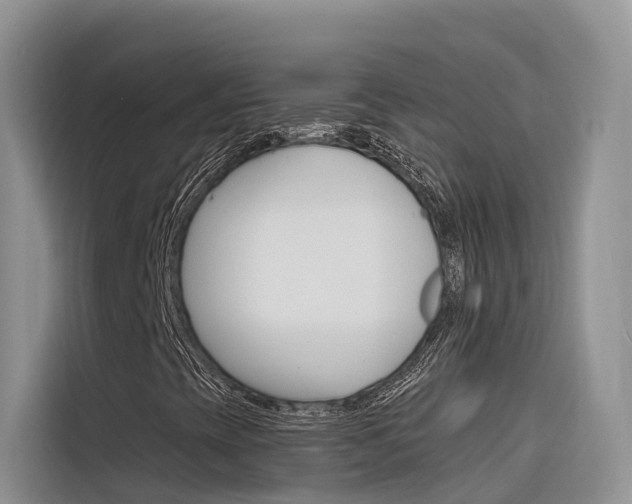 X0000116341393200912011009