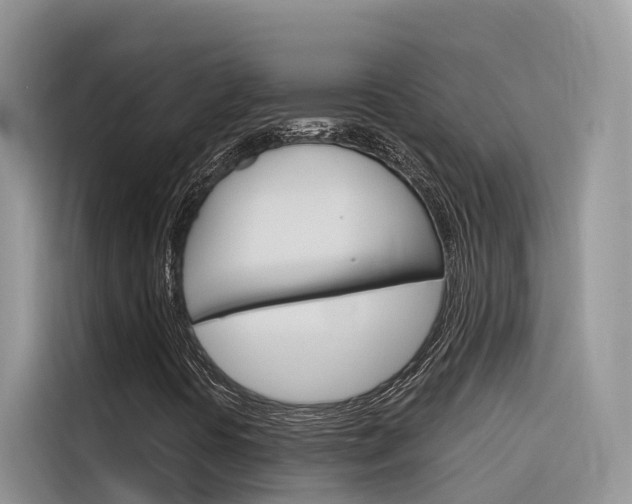 X0000116341394200912011009
