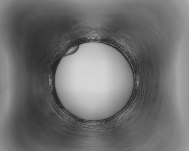X0000116341396200912011009