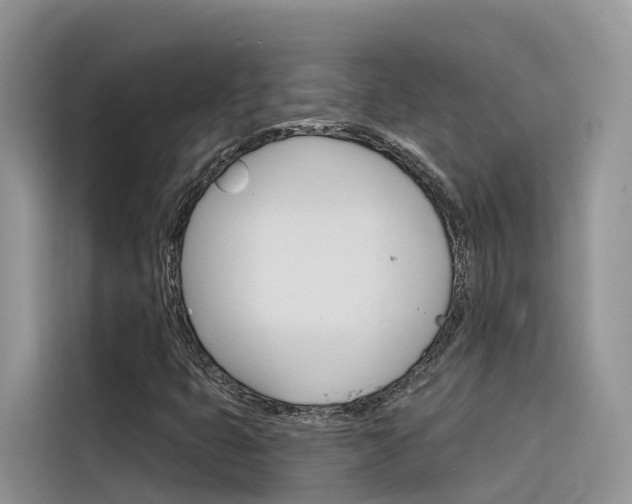 X0000116341399200912011009
