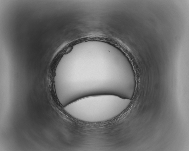 X0000116341400200912011009