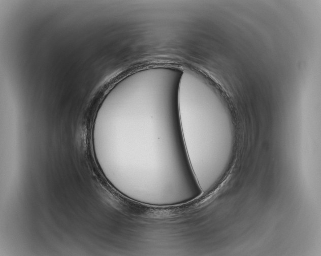 X0000116341402200912011009