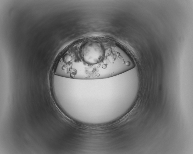 X0000116341404200912011009