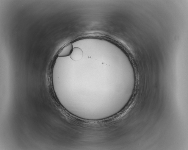 X0000116341405200912011009
