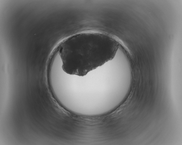 X0000116341408200912011009