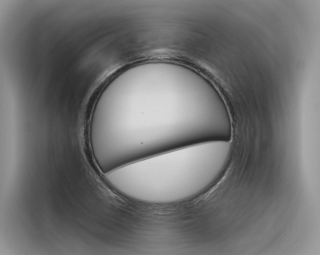 X0000116341410200912011009
