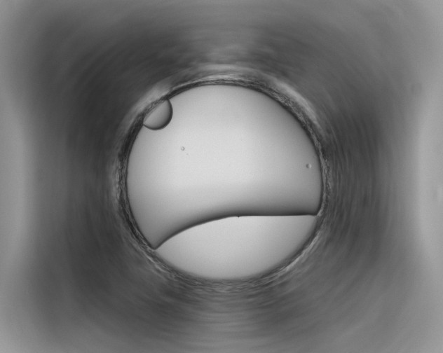 X0000116341411200912011009
