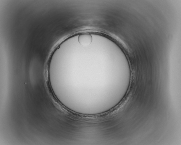 X0000116341413200912011009