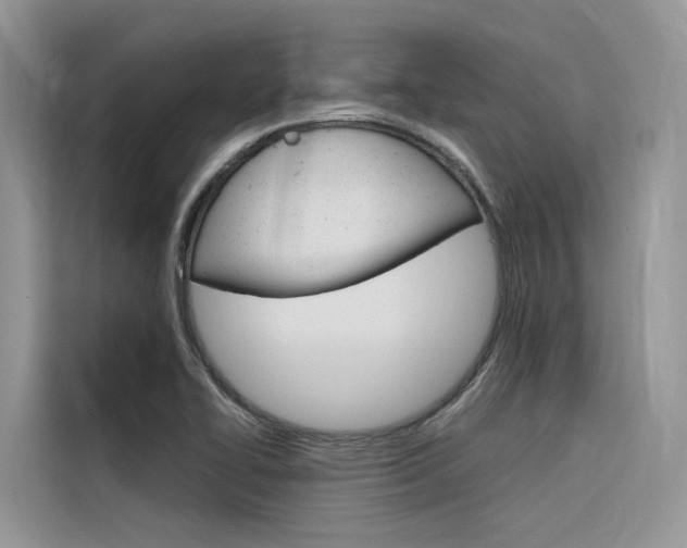 X0000116341414200912011009