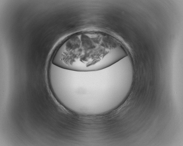 X0000116341416200912011009