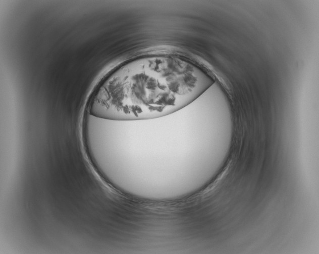 X0000116341418200912011009
