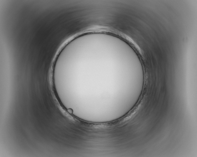 X0000116341421200912011009