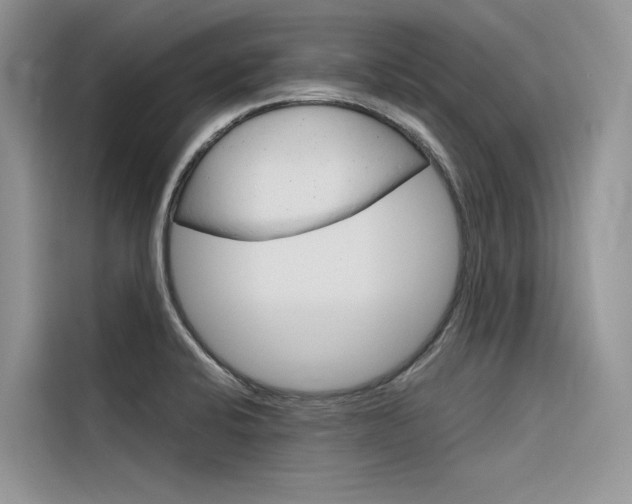 X0000116341424200912011009