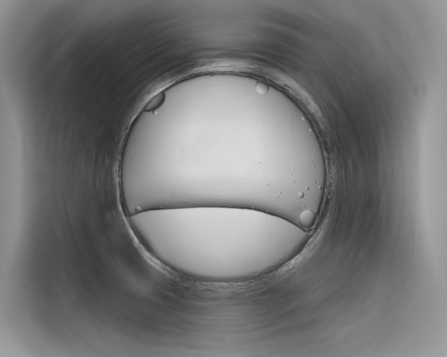 X0000116341425200912011009