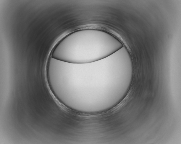 X0000116341426200912011009