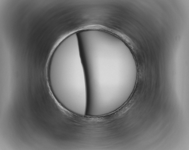 X0000116341430200912011009