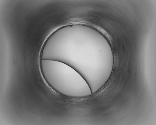 X0000116341431200912011009