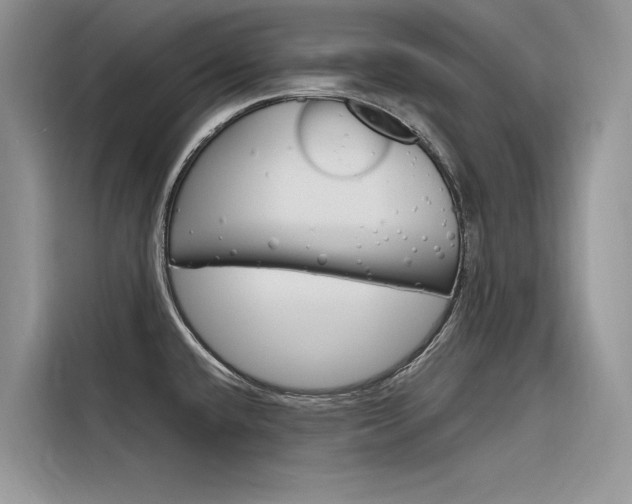 X0000116341432200912011009