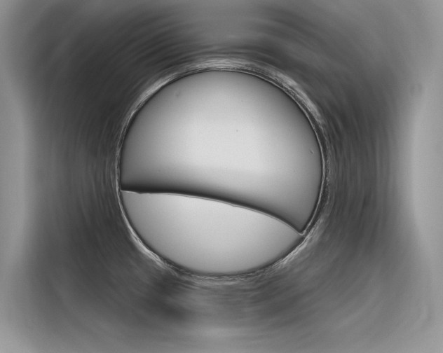 X0000116341433200912011009