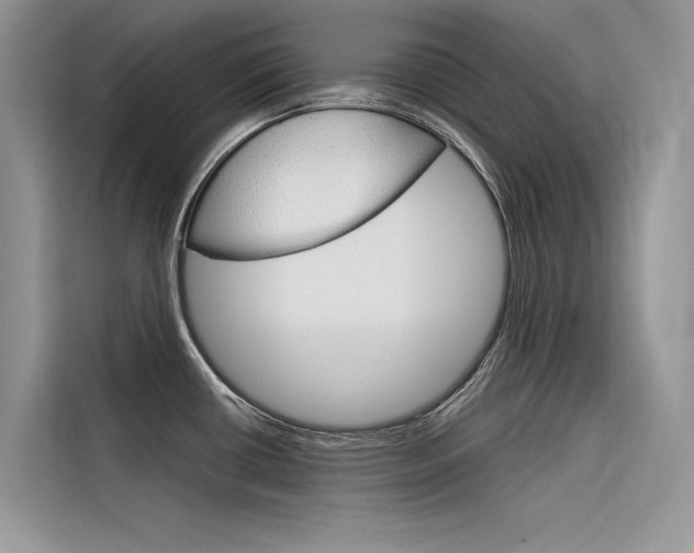 X0000116341434200912011009