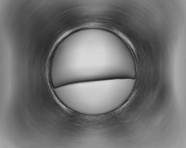 X0000116341437200912011009