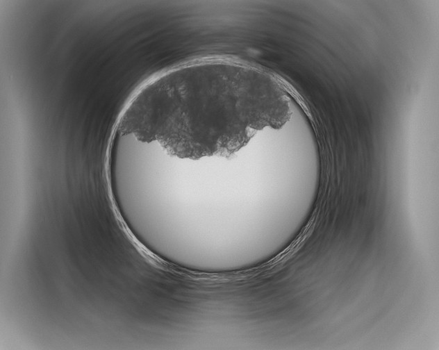 X0000116341438200912011009