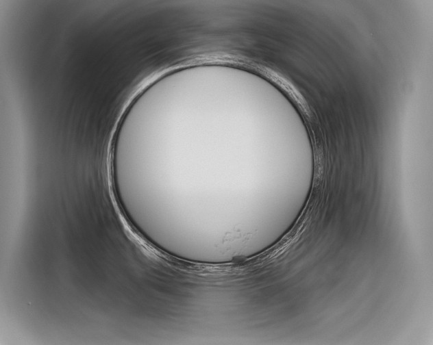 X0000116341439200912011009