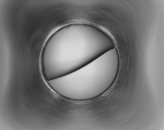 X0000116341440200912011009