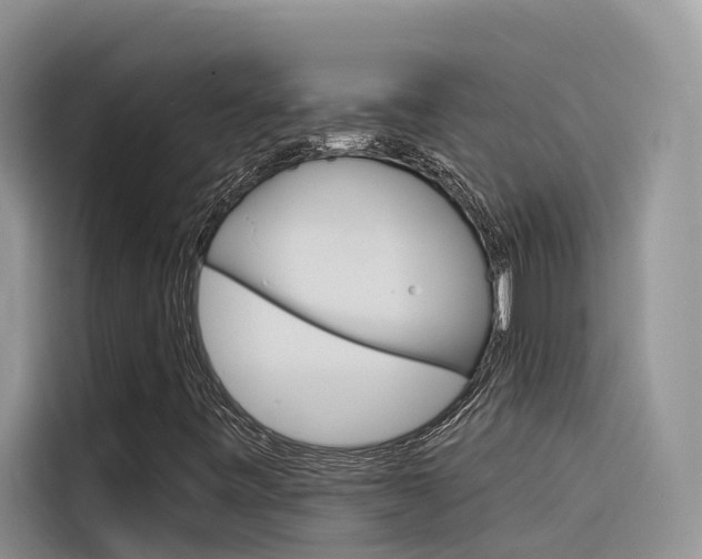 X0000116341443200912011008