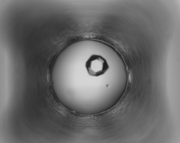 X0000116341444200912011008