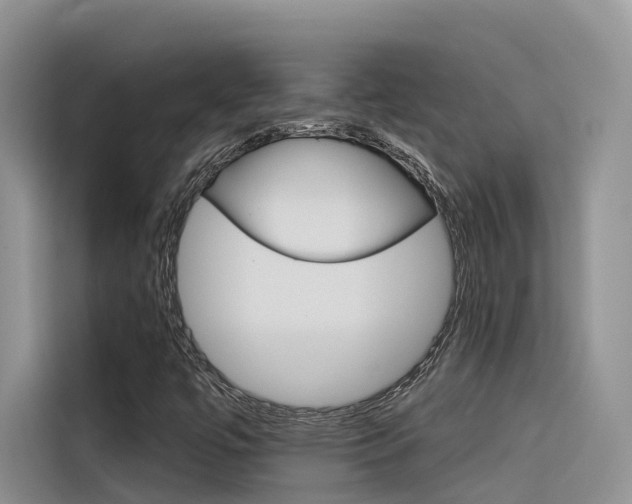 X0000116341447200912011008