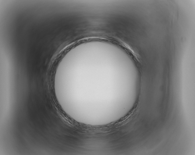 X0000116341448200912011008