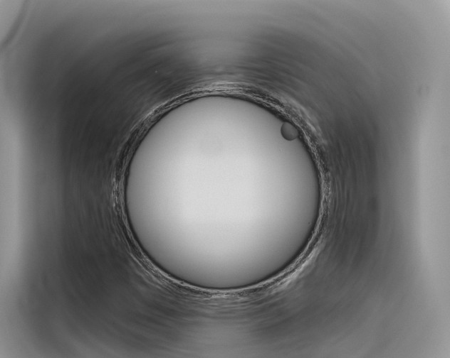 X0000116341449200912011008