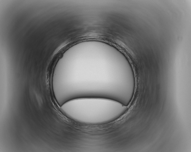 X0000116341450200912011008