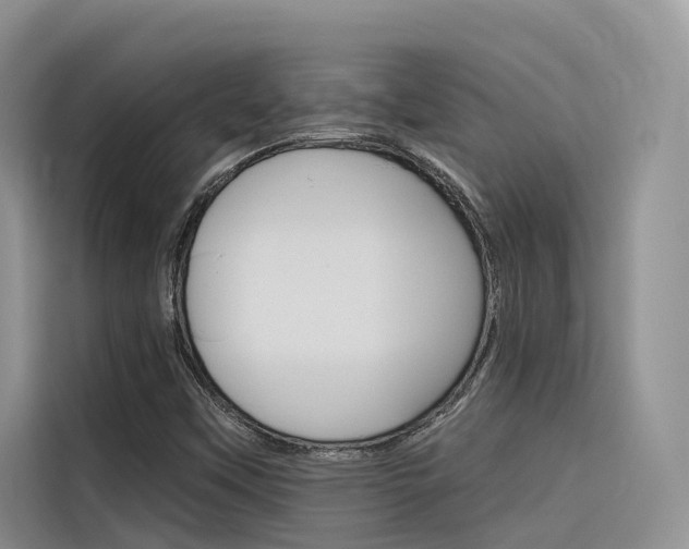 X0000116341451200912011008