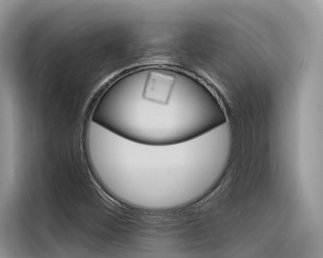 X0000116341452200912011008