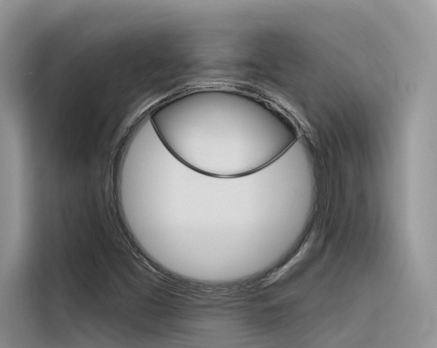 X0000116341453200912011008