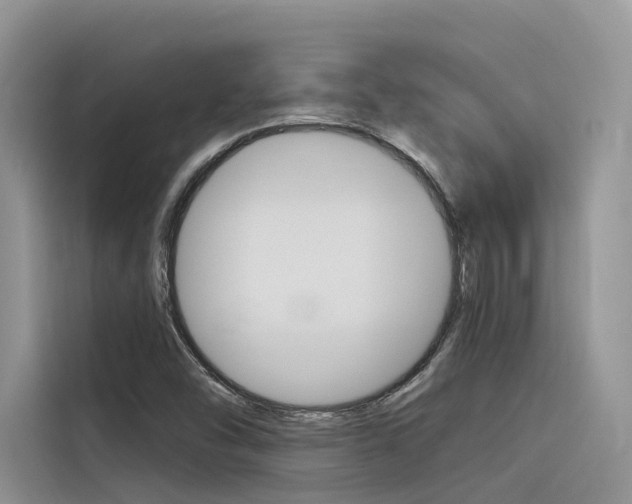 X0000116341454200912011008