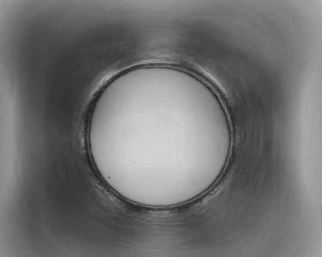 X0000116341455200912011008