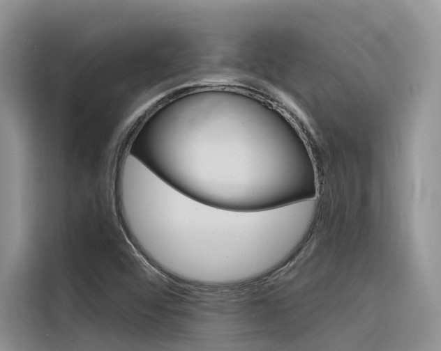 X0000116341456200912011008