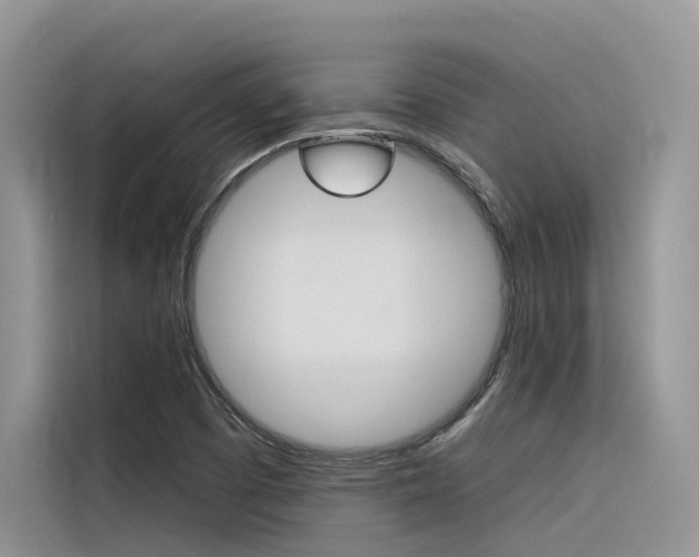 X0000116341457200912011008
