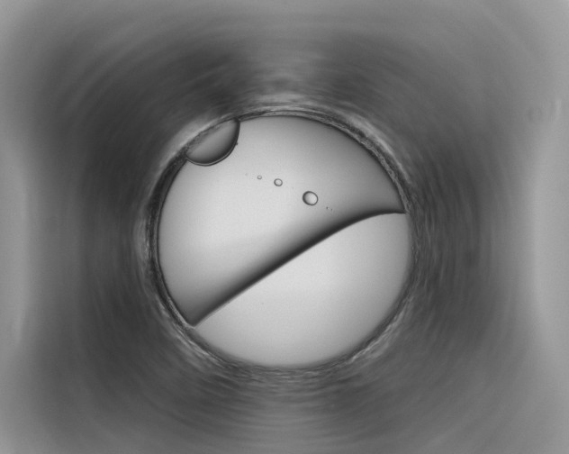X0000116341458200912011008