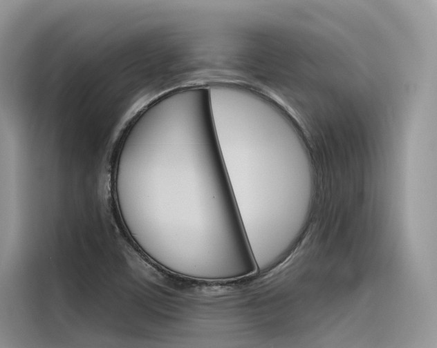 X0000116341459200912011008