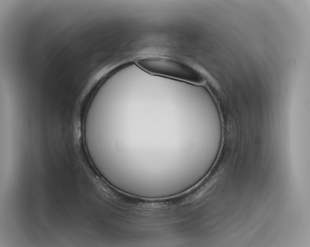 X0000116341461200912011008